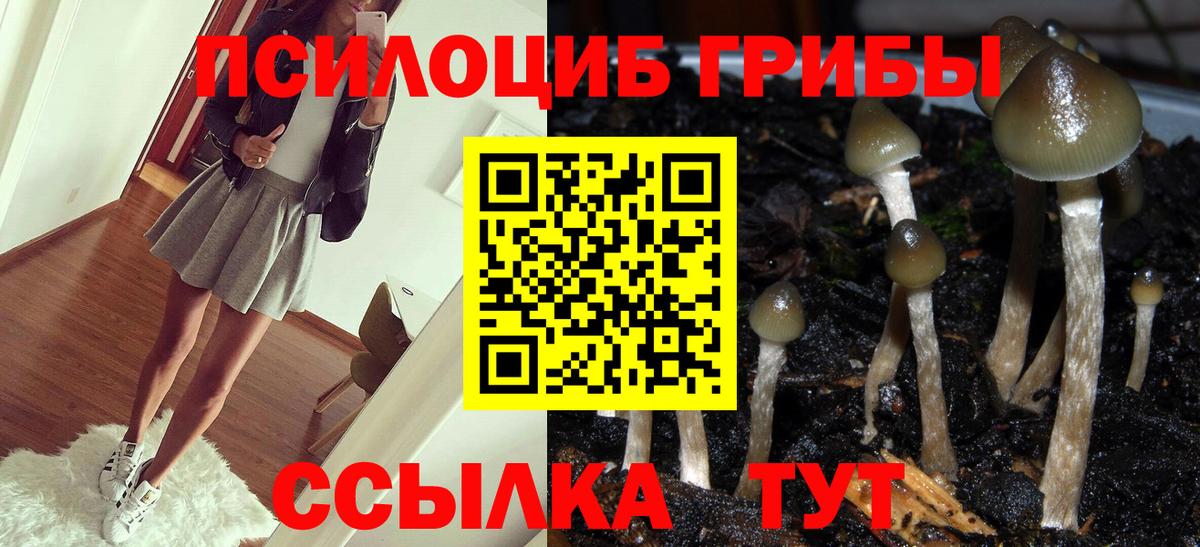 Галлюциногенные грибы мицелий Зеленодольск